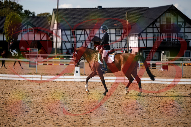 2026_10_03_Siefer-Hof_131518_Z63_76789934 | Professionelle Reitsport-, Turnier- und Eventfotografie von Robert Broda. Galerien mit ausgewählten und bearbeiteten Bildern direkt online ansehen und bestellen.