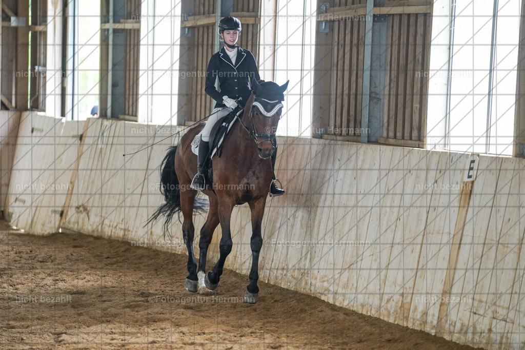 20230521-FAH06347 | Frühjahrsturnier, Landsberg am Lech, 2023, Reitclub Landsberg, Turnierbilder, Fotos Turnier Landsberg, Fotoagentur Herrmann, Turnierfotografen Bayern, Reitsport Fotograf, Pferde Fotograf