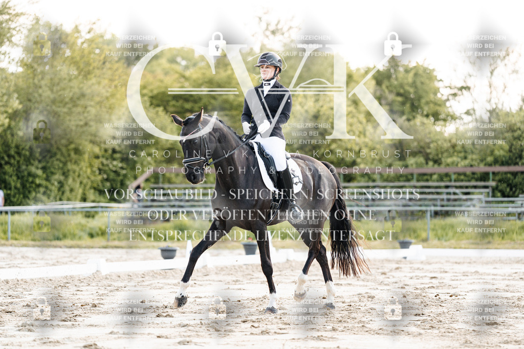CK909384 | Turnierfotografie Pferdefotografie Trier Rheinland-Pfalz Pferdesport Reitsport Tierfotografie Sportfotografie Pferdevideo Pferdevideografie Equestrianvideography equestrianphotography  - Realisiert mit Pictrs.com