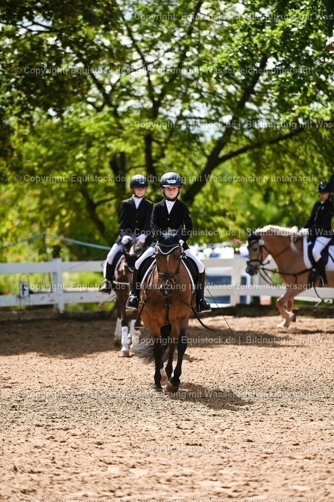 20230716_10-3_Reiter-WB Schritt - Trab - Galopp_0016 | equistock