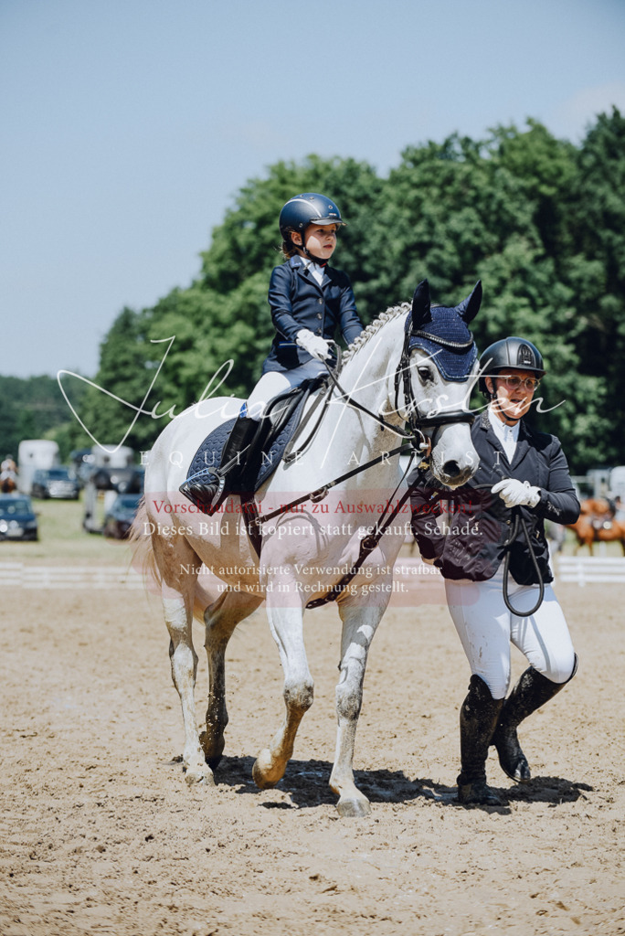 DSC_2214 | Pferde- und Turnierfotografie in Westsachsen. Pferdeportraits, Auftragszeichnungen und intuitive Kunst.