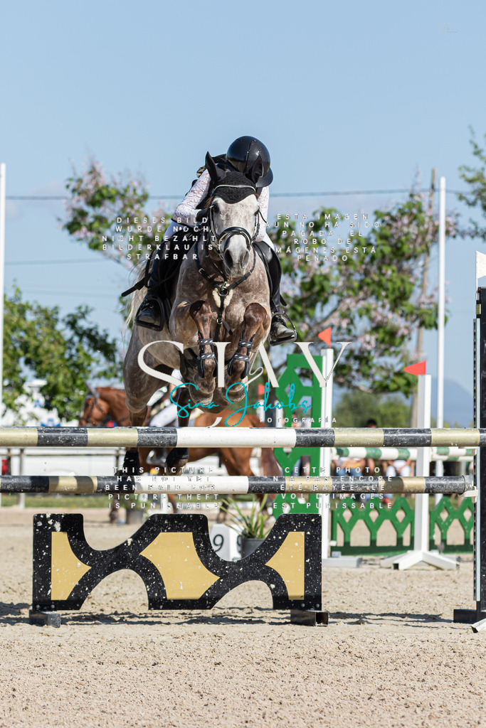 IMG_1034 | s-jay-photography - Realisiert mit Pictrs.com