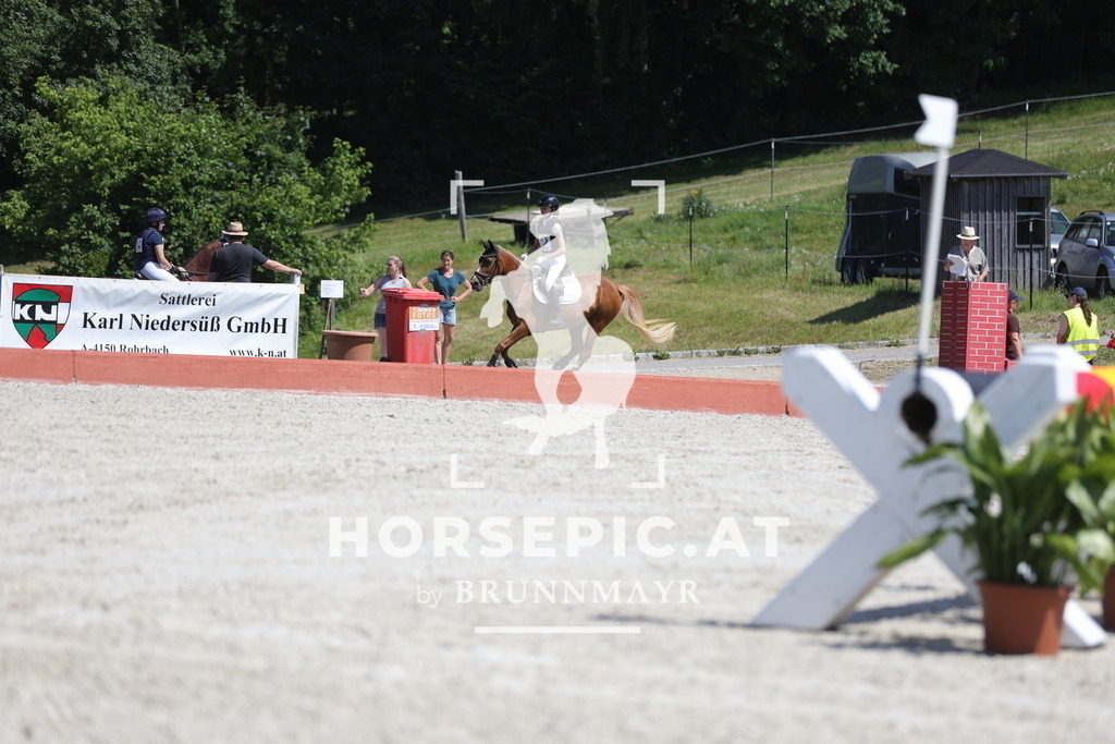 0P6A3416 | Willkommen bei Brunnmayr - Design & Fotografie – Ihrem Spezialisten für Reitturniere und Pferdeveranstaltungen in Oberösterreich, Salzburg und Bayern! Seit über 17 Jahren sind wir leidenschaftlich dabei.