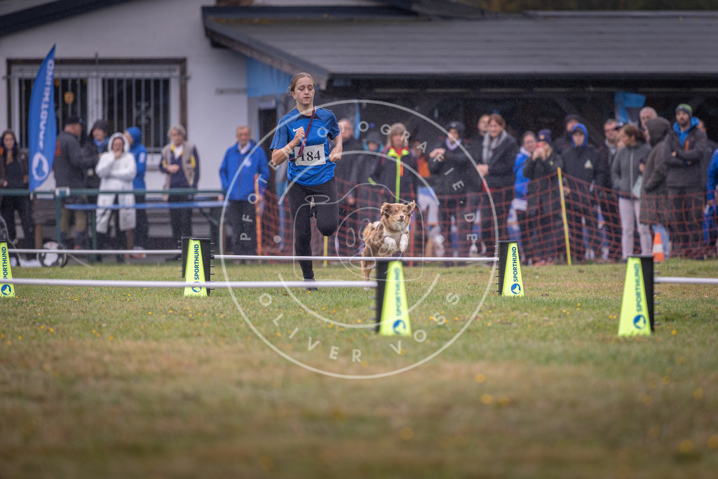 Pfotenfotografie_DV3A9698 | Hundefotografie, Tierfotograf, Pfotenfotografie, Fotoshooting Hund, Hunde Portrait, Hundesport, Hundeportraits, Heideshooting, Hunde, Sportfotograf, Hundefotograf, Turnierhundsport, THS,  - Realisiert mit Pictrs.com