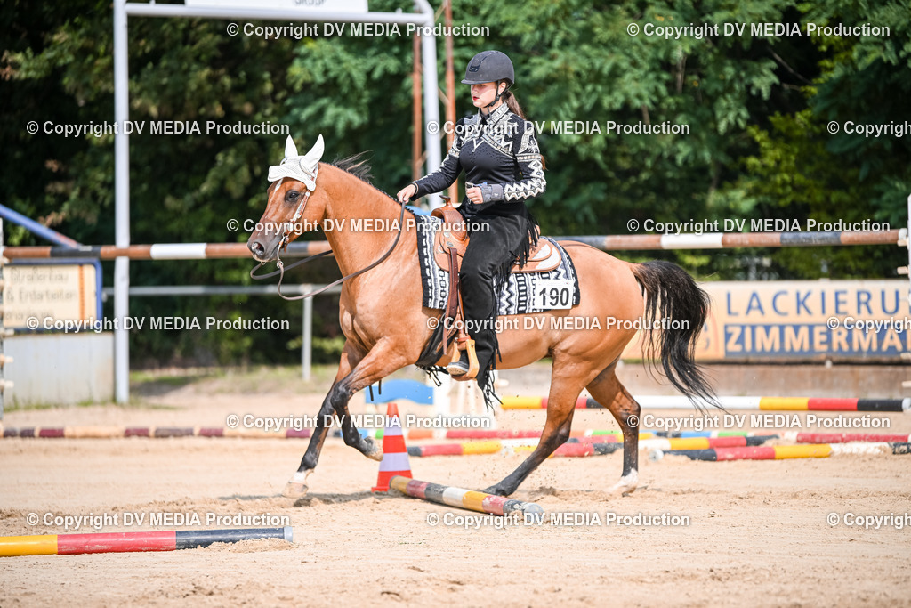 ZS2_3555 | dv-media-shop - Realisiert mit Pictrs.com