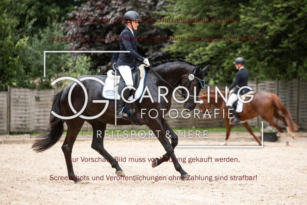 DSC_3065 | Turnierfotografin Carolin Gieschke,Reitsport Turnierfotografie Carolin G Fotografie | Turnierfotos aus Kirchheim/Teck, Esslingen, Stuttgart und dem Bodenseekreis