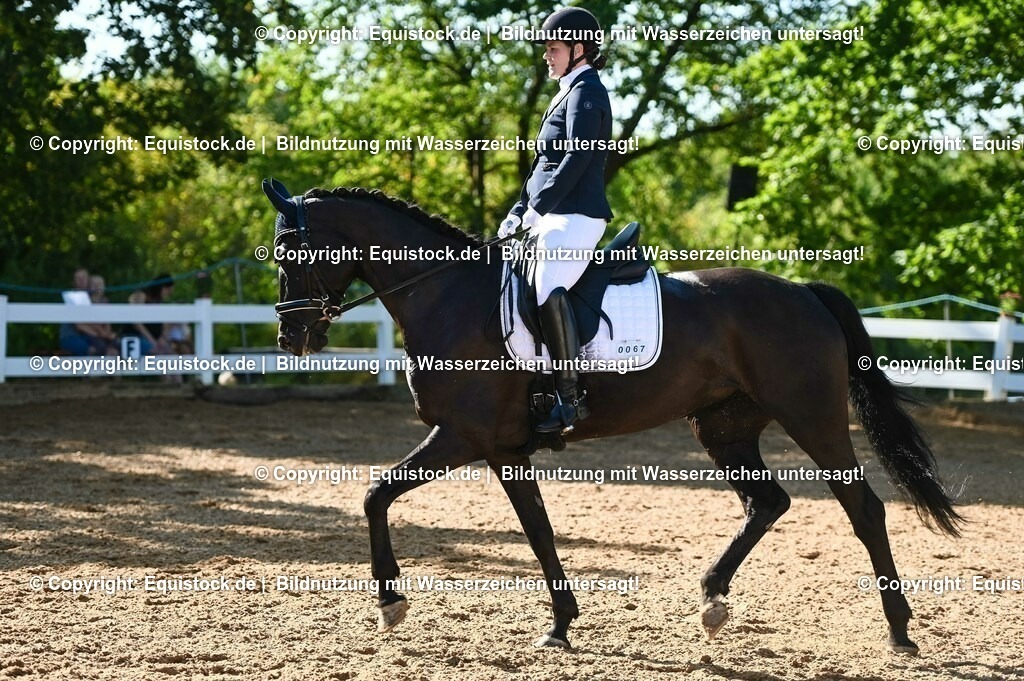 20230715_06_Dressurpferdeprfg. Kl.A_0169 | equistock