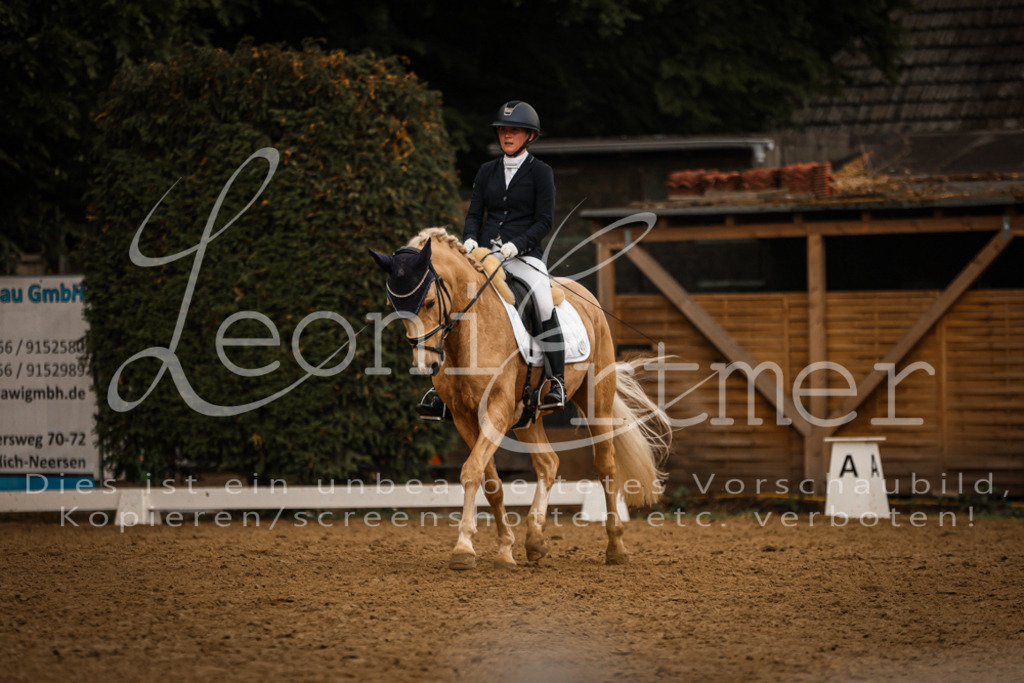 DoDrA200375 | Leoni Ertmer Photography - Realisiert mit Pictrs.com