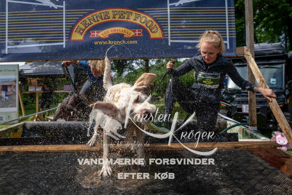 1122_ZZ93854 | kk-dogfotos