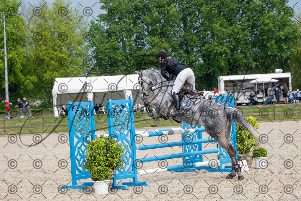 KPT_3281 | andre_photographic