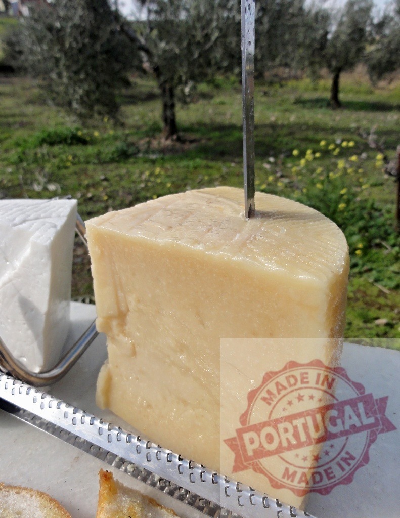 Parmesan cheese wheel with knife in olive grove picnic | Aged cheese wheel with a cutter ready for a rustic picnic in an olive grove - Realisiert mit Pictrs.com