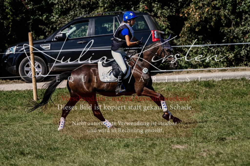 DSC_1694 | Pferde- und Turnierfotografie in Westsachsen. Pferdeportraits, Auftragszeichnungen und intuitive Kunst.