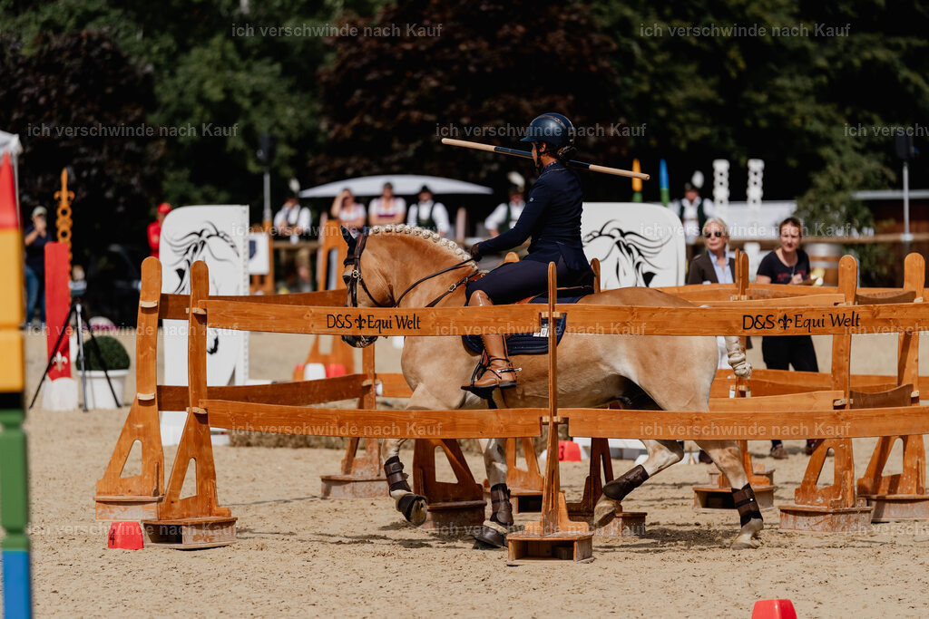 Tanesha5FHC2025-2638 | working equitationturnier fotograf videograf stoibphotography marixx film working equitation deutschland reitsport turnierfotografie eventfotografie equestrian events