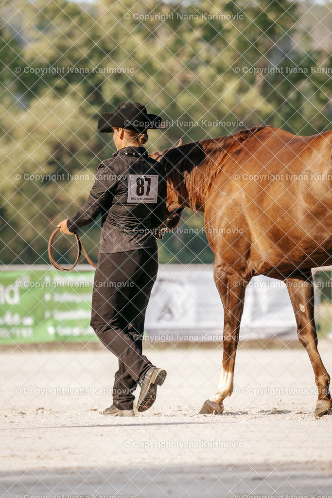 DSC05236 | ikphotography - Realisiert mit Pictrs.com