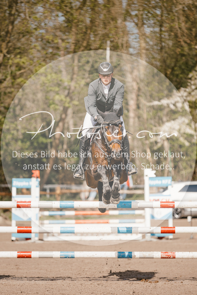 3I6A3992 | Stimmungsvolle Portraits und Reitsportfotografie im Ruhrgebiet und im Münsterland.

Pferdefotografie, Hundefotografie, Tierfotografie, Reportagen, Portraits von Tier und Mensch, Turnierfotografie in Bochum, Recklinghausen, Marl, Haltern am See, Dülmen.. - Realisiert mit Pictrs.com