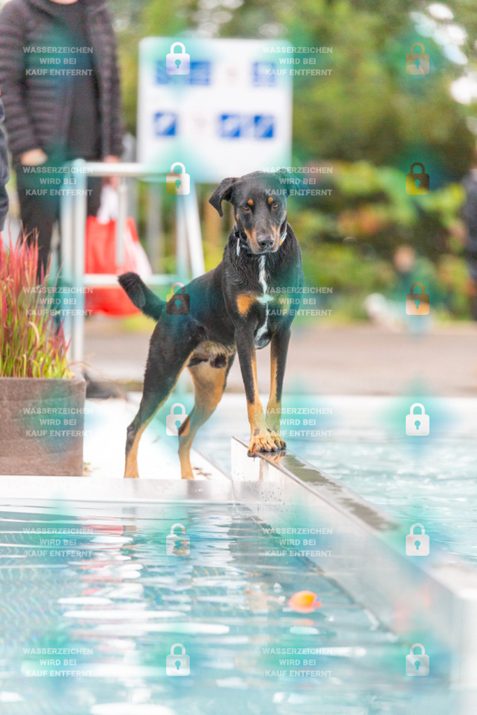 _HP_7348_1000o | HetPix, HetPix Fotodesign, Fotografie, Fotodesign, Webshop, Sportfotografie, Portraitfotografie, Onlineshop, Sportfotografie, Polch, Motorsportfotografie, Eventfotografie