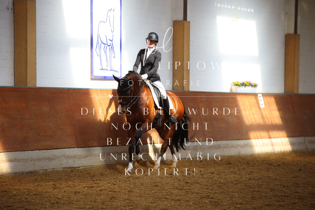 IMGT8593 | pl-fotografie