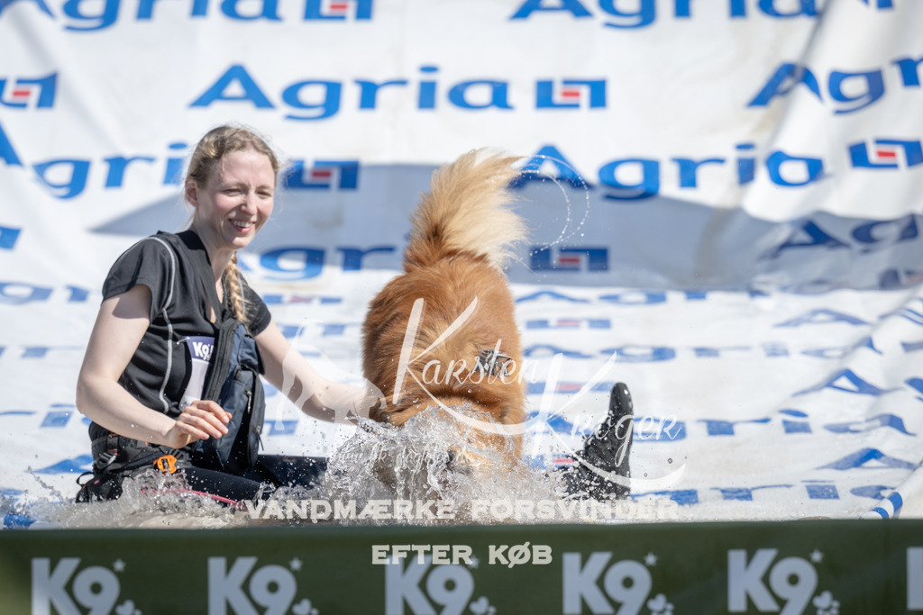 1207_ZZ94869 | kk-dogfotos