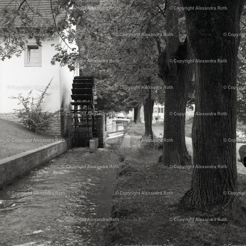 Aarau_0493 | onlineshop - Realisiert mit Pictrs.com