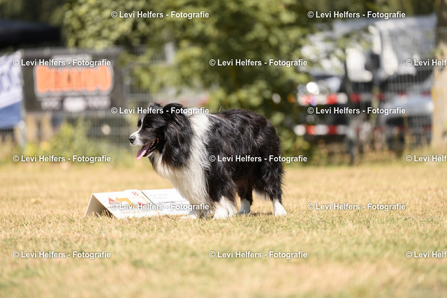 _DSC6253 | levihelfersfotografie