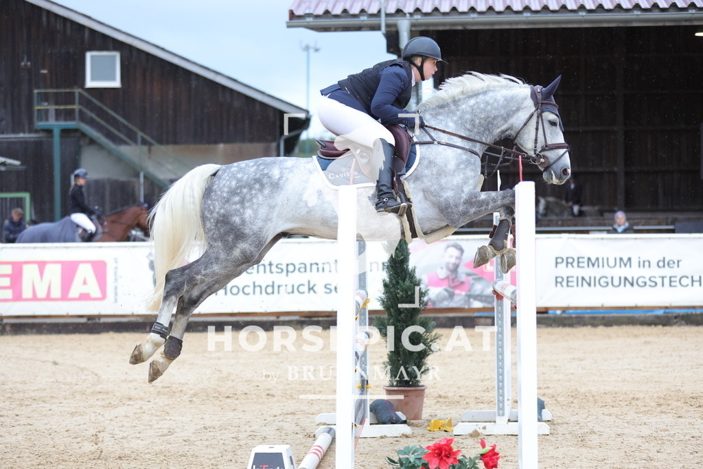 0P6A7084 | Willkommen bei Brunnmayr - Design & Fotografie – Ihrem Spezialisten für Reitturniere und Pferdeveranstaltungen in Oberösterreich, Salzburg und Bayern! Seit über 17 Jahren sind wir leidenschaftlich dabei.