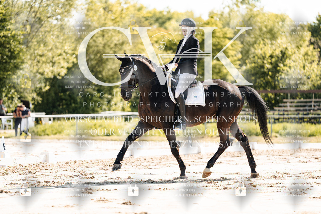 CK909249 | Turnierfotografie Pferdefotografie Trier Rheinland-Pfalz Pferdesport Reitsport Tierfotografie Sportfotografie Pferdevideo Pferdevideografie Equestrianvideography equestrianphotography  - Realisiert mit Pictrs.com