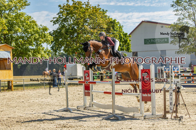 26-7-24 SPF M+-502 | mandyhollmannphotographie