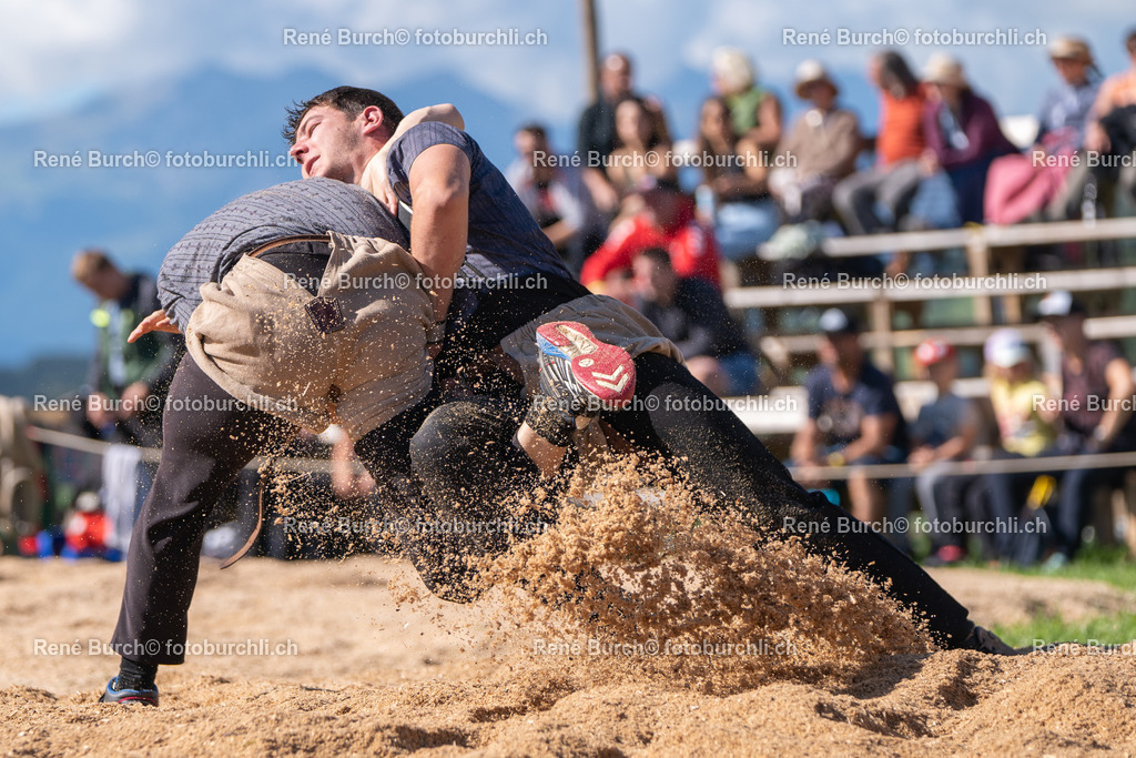 DSC08762 | René Burch leidenschaftlicher Fotograf aus Kerns in Obwalden.  Hier finden sie Sport, Landschaft und Natur Fotografie.
 - Realisiert mit Pictrs.com