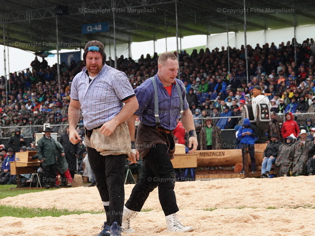 DSC07975 | Schwingen - Realisiert mit Pictrs.com