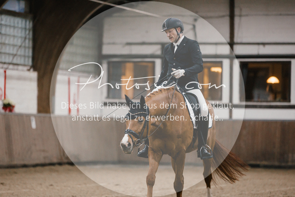 3I6A5881 | Stimmungsvolle Portraits und Reitsportfotografie im Ruhrgebiet und im Münsterland.

Pferdefotografie, Hundefotografie, Tierfotografie, Reportagen, Portraits von Tier und Mensch, Turnierfotografie in Bochum, Recklinghausen, Marl, Haltern am See, Dülmen.. - Realisiert mit Pictrs.com