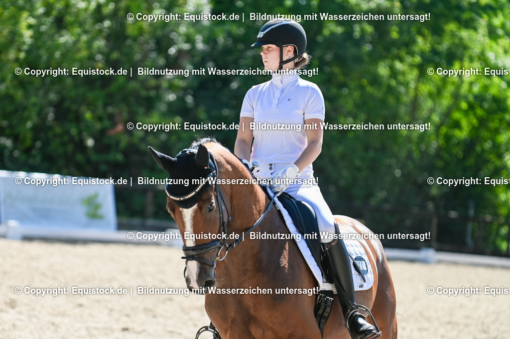 20230908_06_Dressur-L-Trense_0823 | equistock