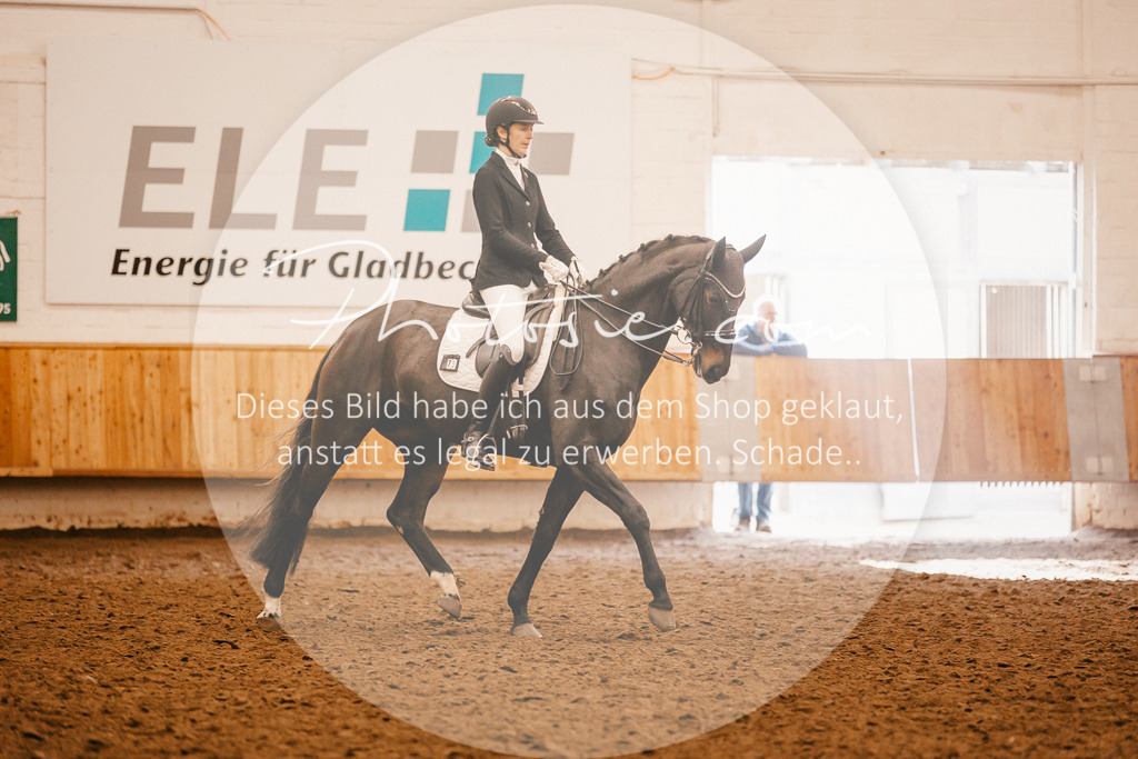 3I6A2384 | Stimmungsvolle Portraits und Reitsportfotografie im Ruhrgebiet und im Münsterland.

Pferdefotografie, Hundefotografie, Tierfotografie, Reportagen, Portraits von Tier und Mensch, Turnierfotografie in Bochum, Recklinghausen, Marl, Haltern am See, Dülmen.. - Realisiert mit Pictrs.com