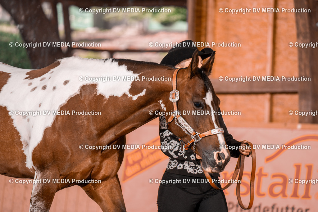 NE200050 | dv-media-shop - Realisiert mit Pictrs.com