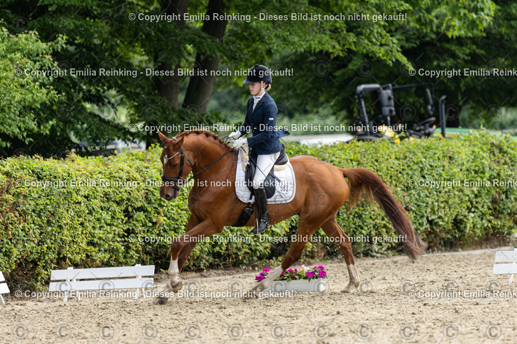 CL5A5088 | Emilia Reinking Fotografie - Realisiert mit Pictrs.com