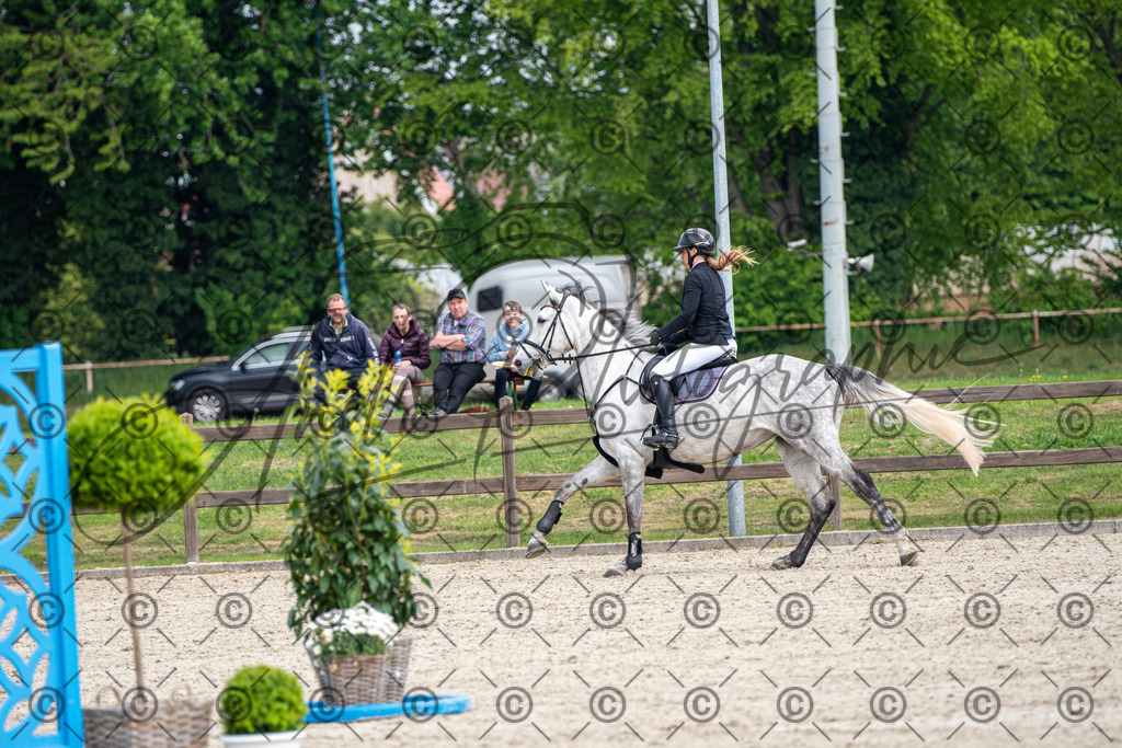 KPT_3099 | andre_photographic