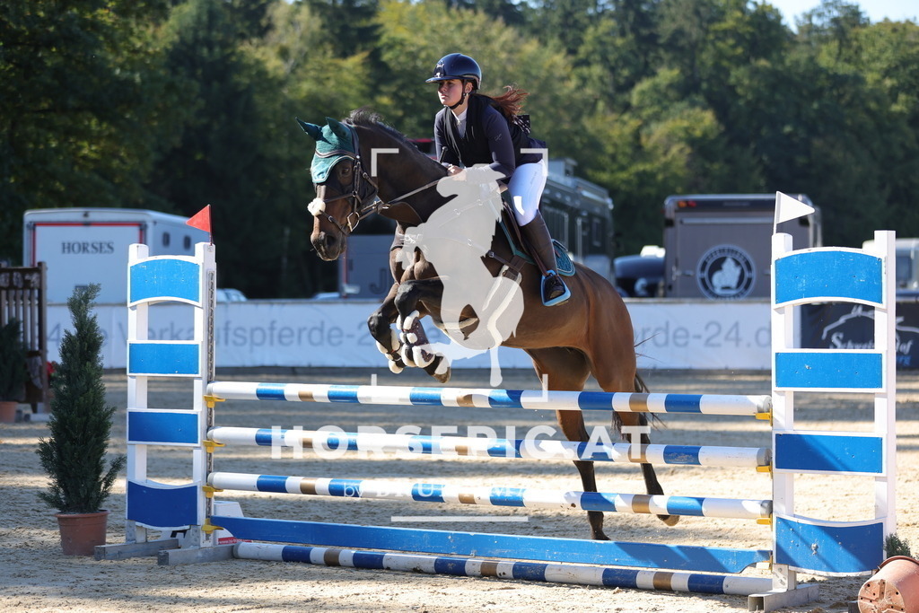 0P6A0255 | Willkommen bei Brunnmayr - Design & Fotografie – Ihrem Spezialisten für Reitturniere und Pferdeveranstaltungen in Oberösterreich, Salzburg und Bayern! Seit über 17 Jahren sind wir leidenschaftlich dabei.