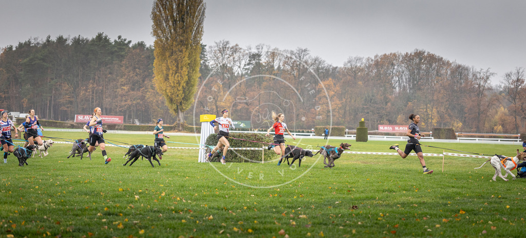 CaniXpix_DV3A8731 | Hundefotografie, Tierfotograf, Pfotenfotografie, Fotoshooting Hund, Hunde Portrait, Hundesport, Hundeportraits, Heideshooting, Hunde, Sportfotograf, Hundefotograf, Turnierhundsport, THS,  - Realisiert mit Pictrs.com
