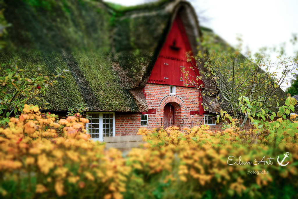B 140 | Haus Olesen, Friesen-Museum
