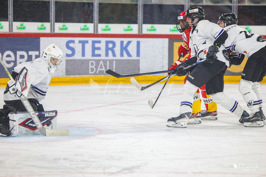 EHCB Spirit vs HCFG_wb-8825 | Sportbilder, Sportfotograf, Hochzeits- und Eventfotografin, Flugshows, Portraits und Tiershooting, Aviation, Downhill, Nationalleague, Swissleague, International