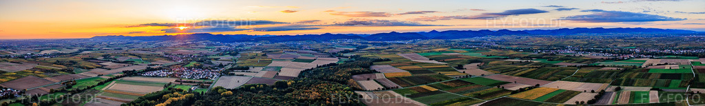 Luftbild: Panorama der Haardt in der südlichen Weinstraße am Abend von Wissembourg bis Landau im Ortsteil Mühlhofen in Billigheim-Ingenheim im Bundesland Rheinland-Pfalz in Deutschland. Foto: IMG_150441-Pano.jpg vom 15.10.2025 durch Werner Riehm/FLY-FOTO.deAuflösung des Originals: 23753 x 3573 px