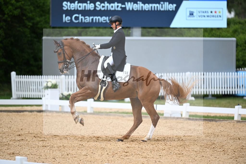 Schatz-Weihermeuller_Le Charmeur_26260288 | hf-fotografie - Realisiert mit Pictrs.com