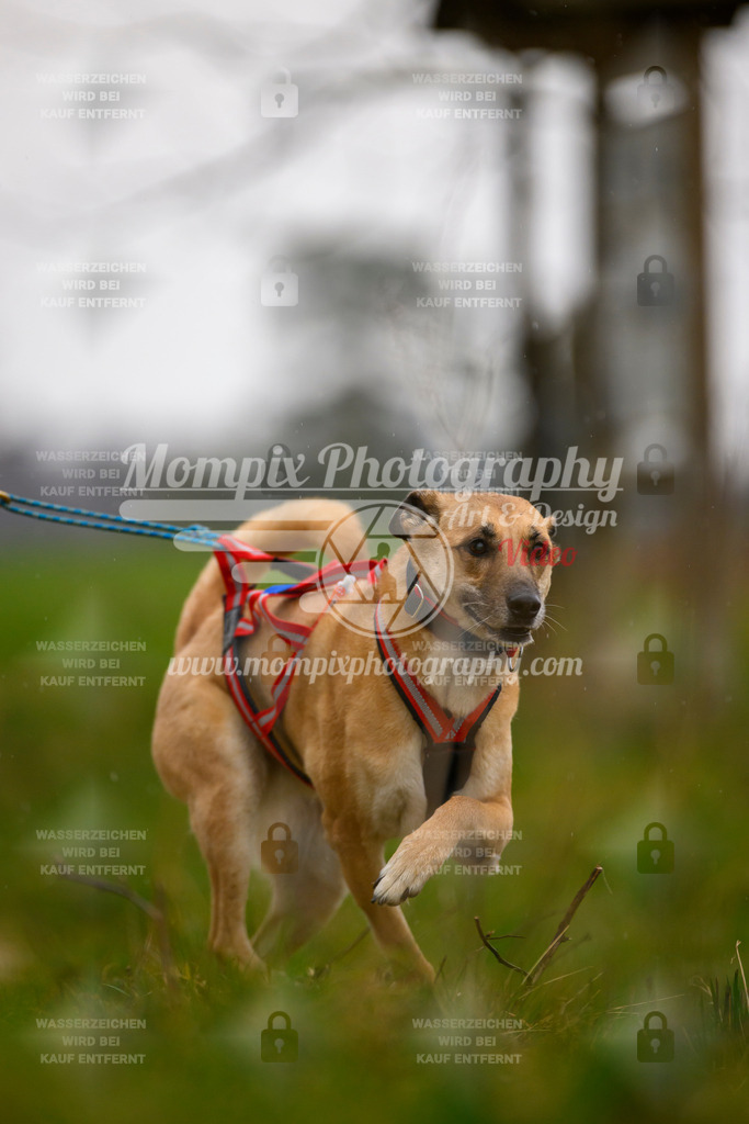 MompixPhotography_ReiatRennen2024_SO_Happy-49 | MompixPhotography