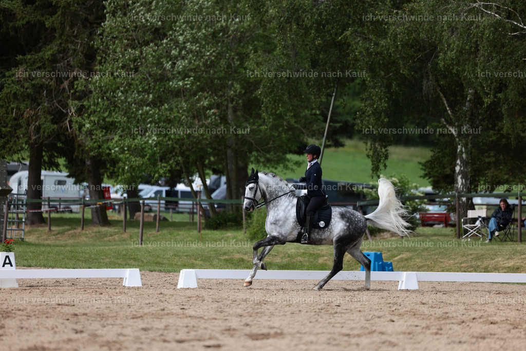 Masterclass_stoibphotography_C2_L5112.JPG | working equitationturnier fotograf videograf stoibphotography marixx film working equitation deutschland reitsport turnierfotografie eventfotografie equestrian events