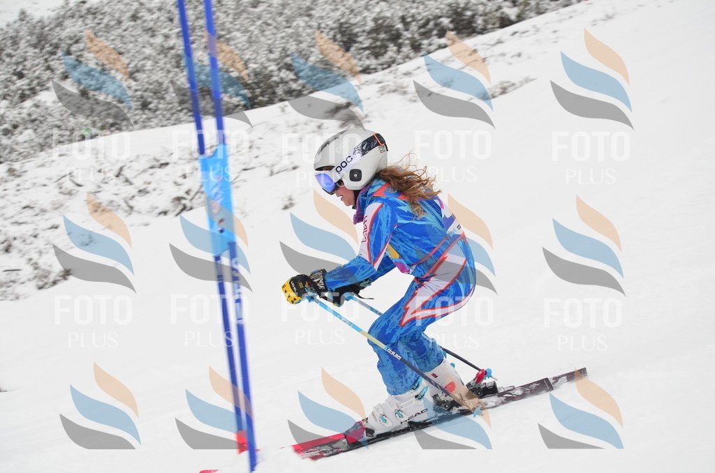 C0628 | holidayphoto