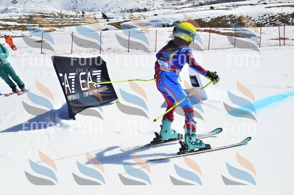 _ELE0042 | holidayphoto