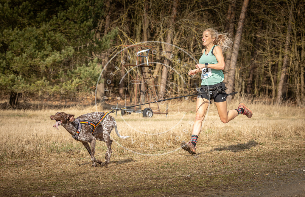 DV3A5610 | Hundefotografie, Tierfotograf, Pfotenfotografie, Fotoshooting Hund, Hunde Portrait, Hundesport, Hundeportraits, Heideshooting, Hunde, Sportfotograf, Hundefotograf, Turnierhundsport, THS,  - Realisiert mit Pictrs.com