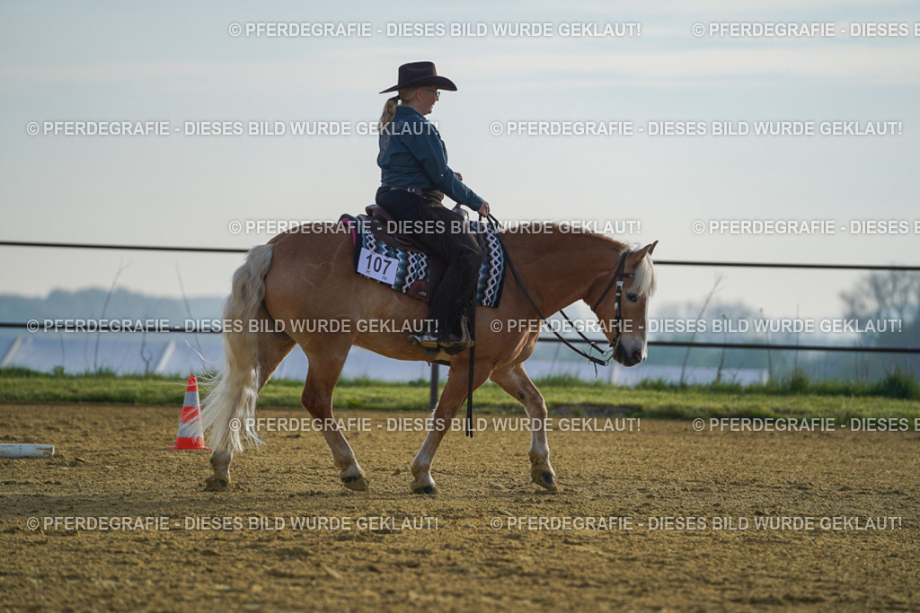 DSC00345 | Pferdegrafie