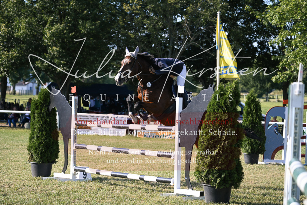 DSC_1637 | Pferde- und Turnierfotografie in Westsachsen. Pferdeportraits, Auftragszeichnungen und intuitive Kunst.