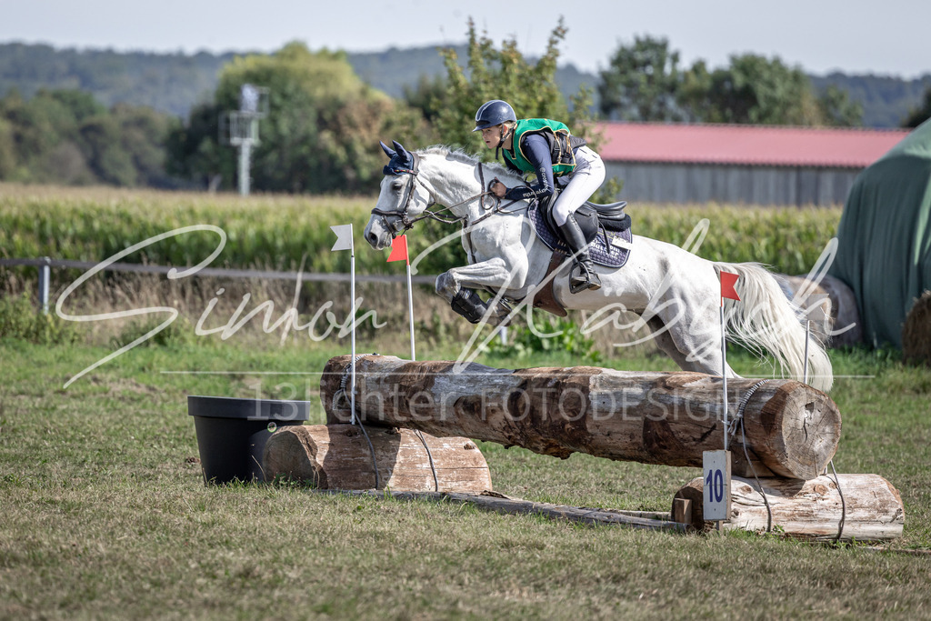 20250907-_3LI1920 | Tierfotografie Pferde, Hunde, Katzen, Haustiere.
Turnierfotografie Reitturniere, Reiten, Springreiten, Dressur in Hanau, dem Main-Kinzig-Kreis und dem Rhein-Main- Gebiet um Frankfurt