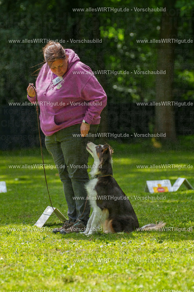 @allesWIRTHgut_Tierfotografie - www.allesWIRTHgut.de - 7R504859 | Professionelle Tierfotografie in Mönchengladbach von Daniel Wirth (allesWIRTHgut). Liebevolle & natürliche Bilder von Hunden & Katzen für unvergessliche Erinnerungen.